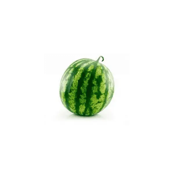 Water Melon Seedless 