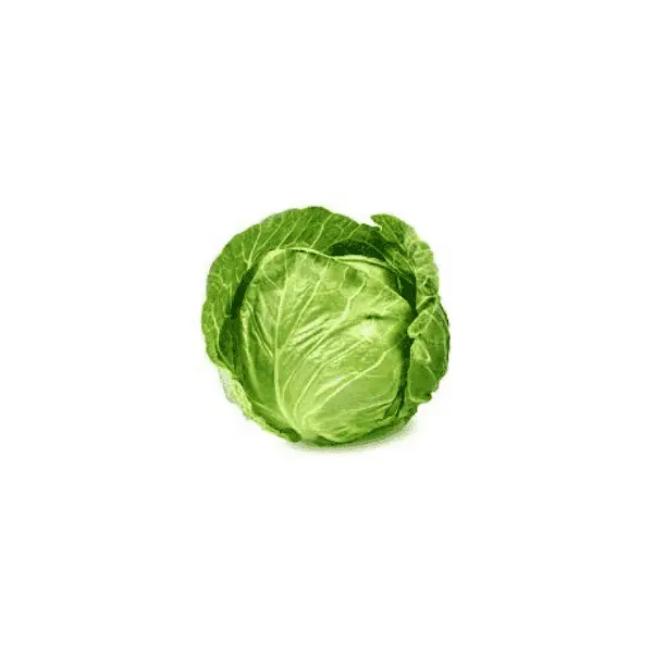 Cabbage