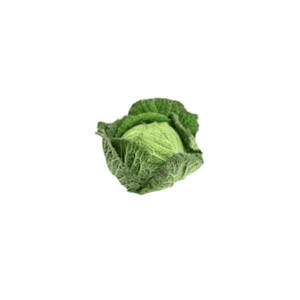 Savoy Cabbage