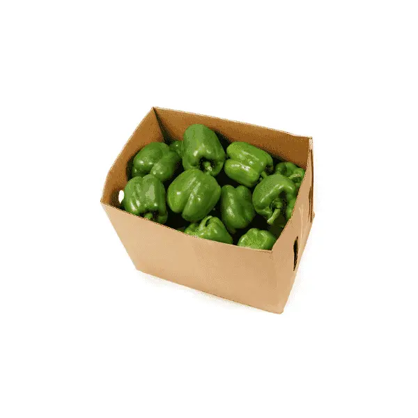 Green Capsicum (10KG)