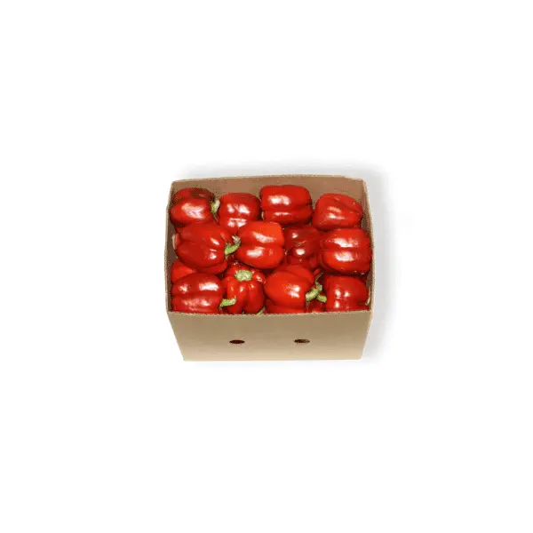 Red Capsicum (10KG)