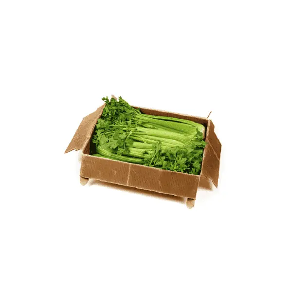 Celery Box