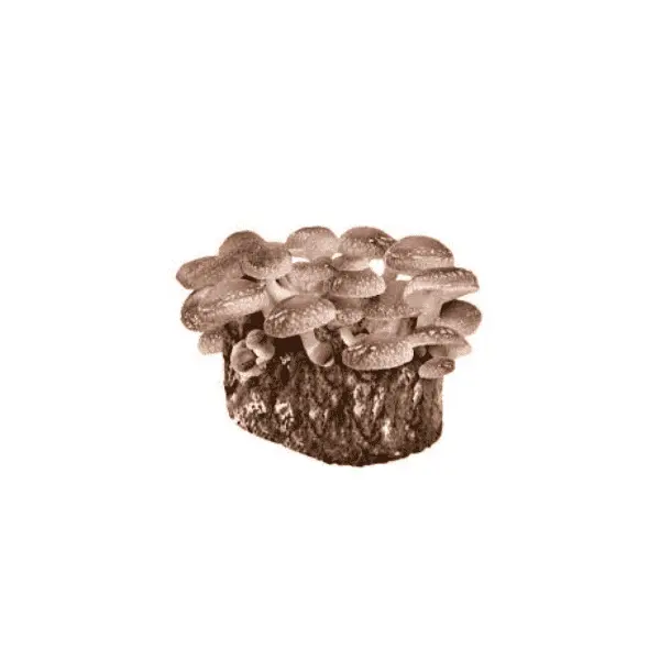 Shiitake Mushrooms (100g)