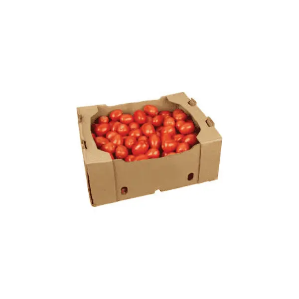 Roma Tomato Box (10KG)