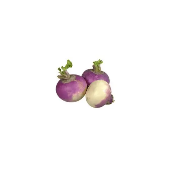 Turnips (5KG Bag)