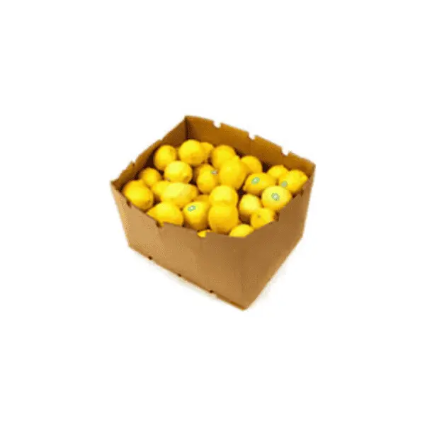 Lemons (13KG ctn)