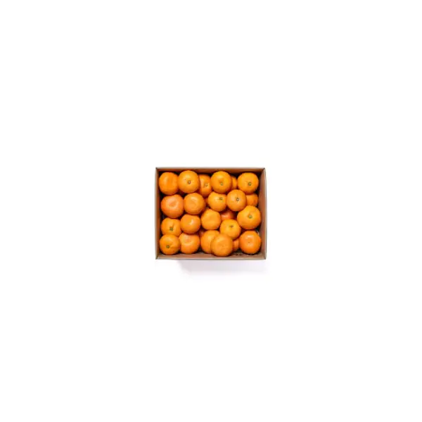 Afourer Mandarins (10KG Box)