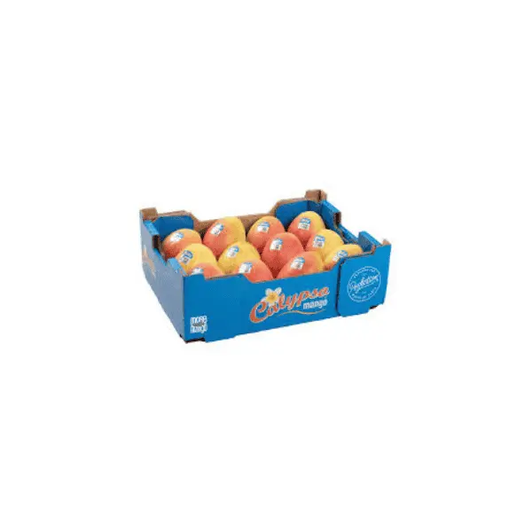 Calypso Mangoes (Count 18-28)