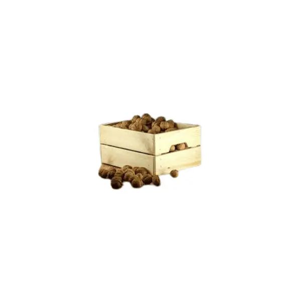 Walnuts Large (10KG Bag)