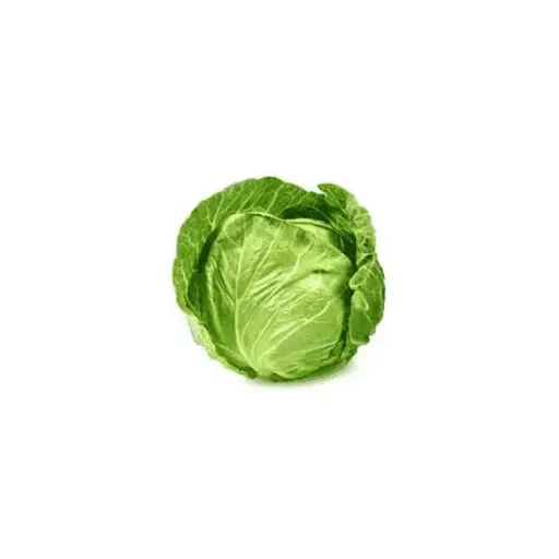 Cabbage