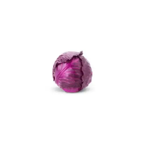 Red Cabbage