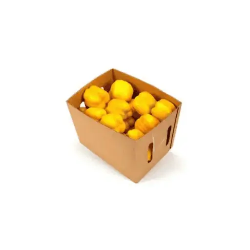 Yellow Capsicum (10KG)