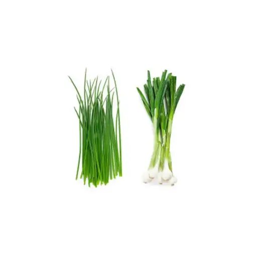 Chives