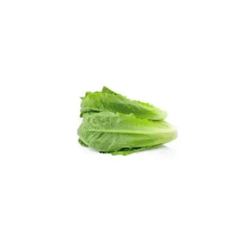 Cos lettuce 