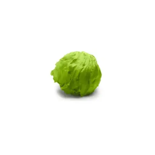 Ice Berg Lettuce