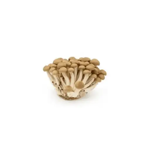 Shimeji Mushrooms (300g)