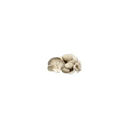 Oyster Mushrooms (150g)