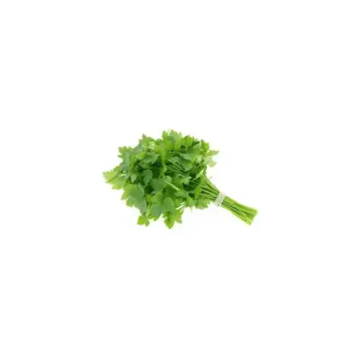 Continental Parsley (1x5 Bundle)