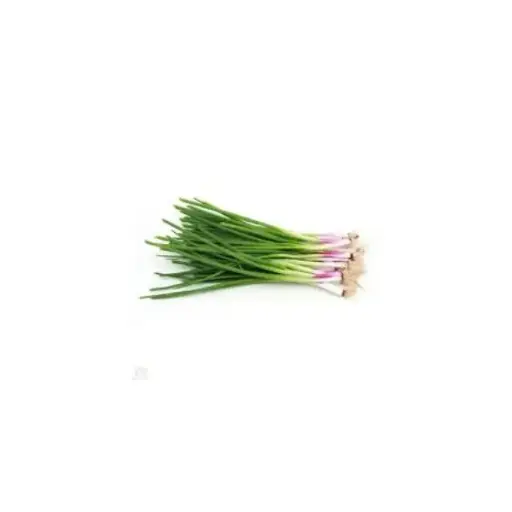 Spring Onions Bundle 