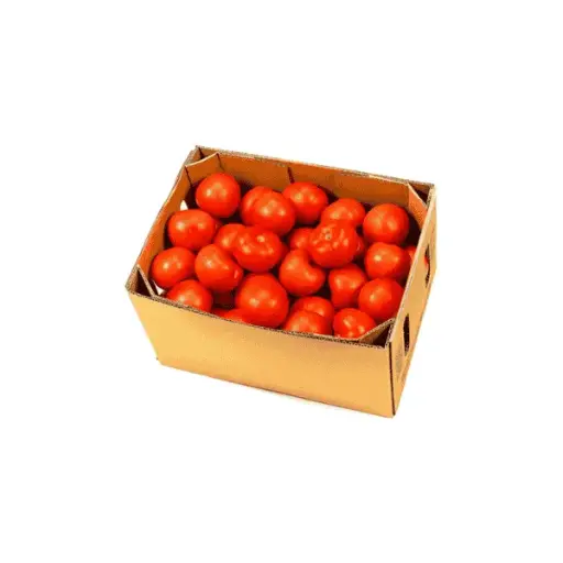 Tomato Box (10 KG Box)