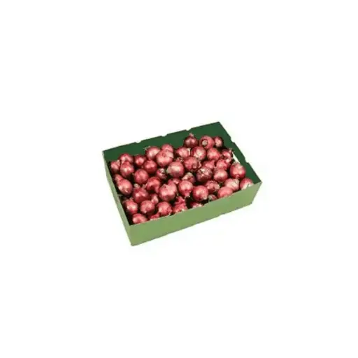 Onions Red (Premium 10KG Box)