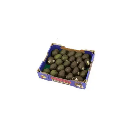 Avocados Hass Class-1 (SL Tray)