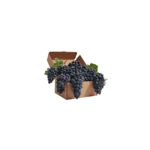 Grapes Dark Seedless (9-10KG)