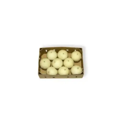 Honeydew Melons (7-8 Tray)