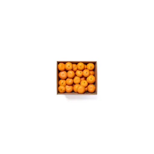 Afourer Mandarins (10KG Box)