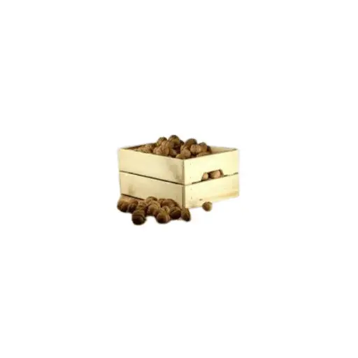 Walnuts Jumbo (10KG Bag)